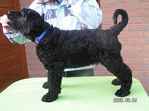 Click on the photo for the original