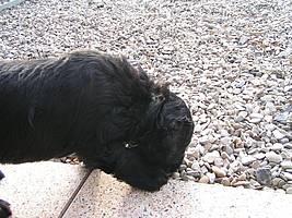 Click on the photo for the original