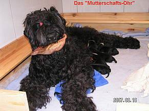 Click on the photo for the original