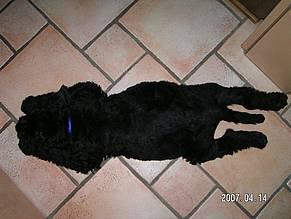 Click on the photo for the original