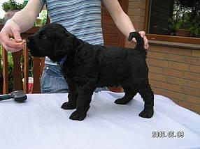 Click on the photo for the original