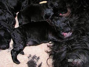 Click on the photo for the original