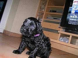 Click on the photo for the original