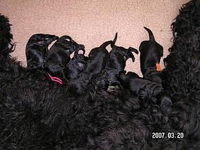 Click on the photo for the original