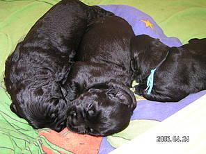 Click on the photo for the original