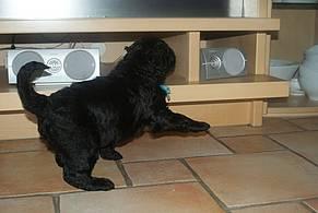 Click on the photo for the original