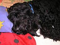 Click on the photo for the original