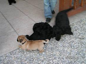 Click on the photo for the original