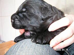 Click on the photo for the original