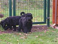 Click on the photo for the original