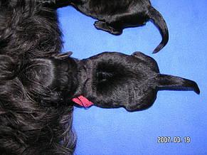 Click on the photo for the original