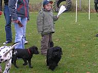 Click on the photo for the original