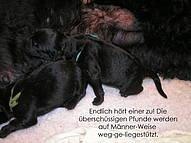 Click on the photo for the original