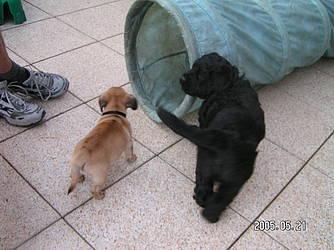 Click on the photo for the original