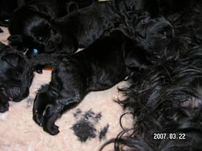 Click on the photo for the original