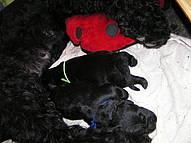 Click on the photo for the original