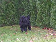 Click on the photo for the original