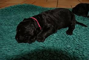 Click on the photo for the original