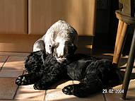 Click on the photo for the original