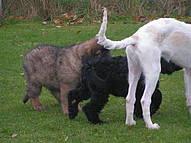 Click on the photo for the original