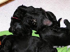 Click on the photo for the original