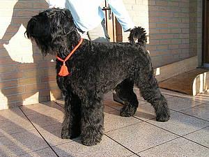 Click on the photo for the original