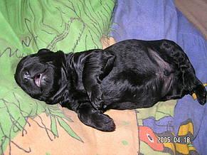 Click on the photo for the original