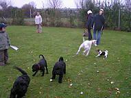 Click on the photo for the original