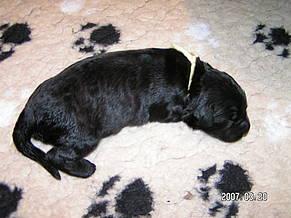 Click on the photo for the original