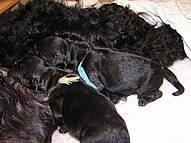 Click on the photo for the original