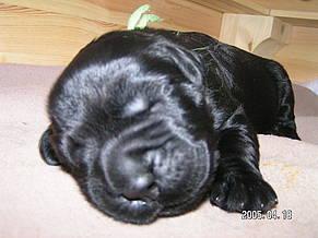 Click on the photo for the original