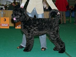 Click on the photo for the original