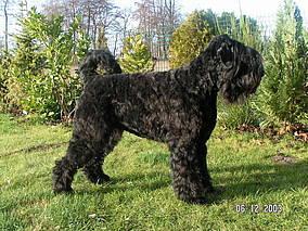 Click on the photo for the original