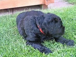 Click on the photo for the original