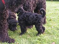 Click on the photo for the original