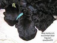 Click on the photo for the original