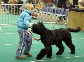 Click on the photo for the original