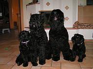 Click on the photo for the original