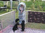 Click on the photo for the original