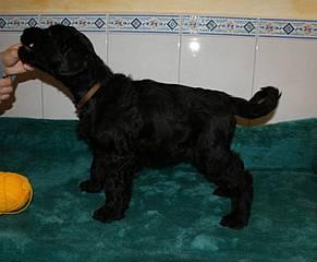 Click on the photo for the original