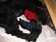 Click on the photo for the original