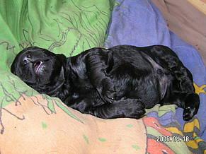 Click on the photo for the original