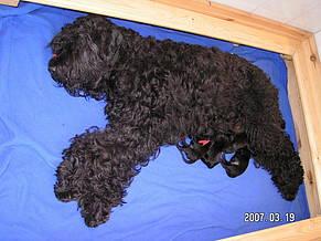 Click on the photo for the original