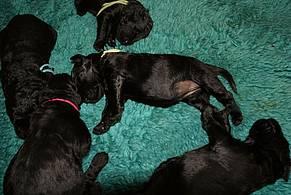 Click on the photo for the original