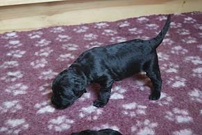 Click on the photo for the original