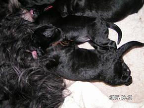 Click on the photo for the original