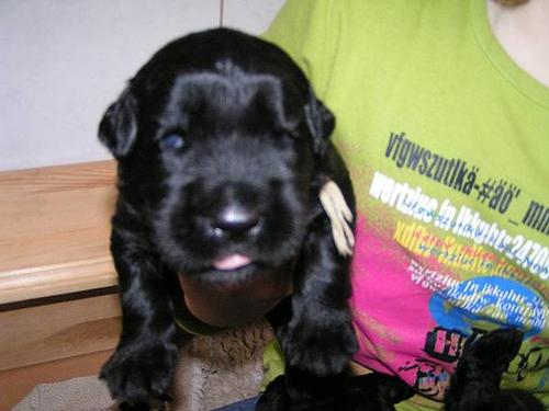 Click on the photo for the original