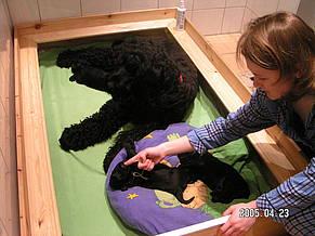 Click on the photo for the original