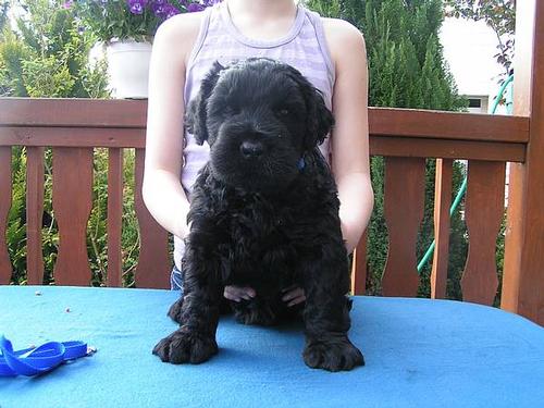 Click on the photo for the original