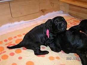 Click on the photo for the original